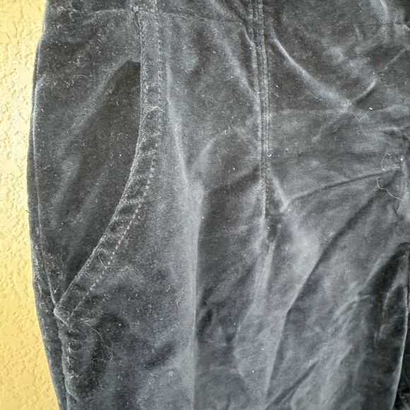 Free People Flare Leg Velvet Pants - Picture 4 of 9